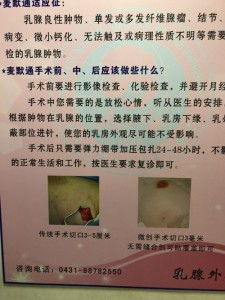 KINA 2 IMG_1282